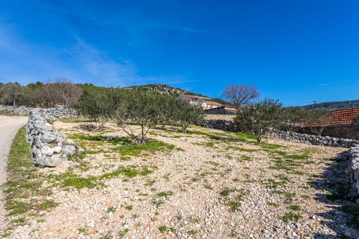 Trogir - autohtono dalmatinsko imanje 