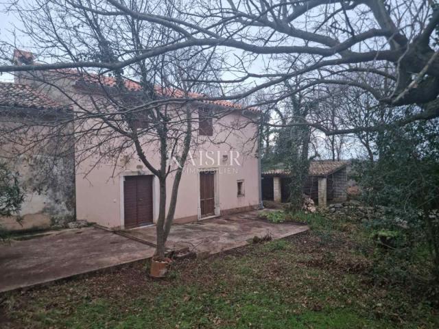 Istria - estate, complex of houses on an area of 32,000 m2