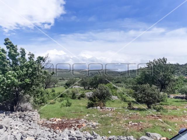 Zemljište, Supetar, Brač, Prodaja, 3158. 00m²