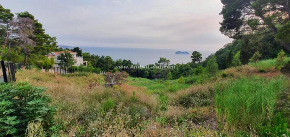 PLOT WITH PANORAMIC VIEW OF THE CITY AND THE SEA, BAR