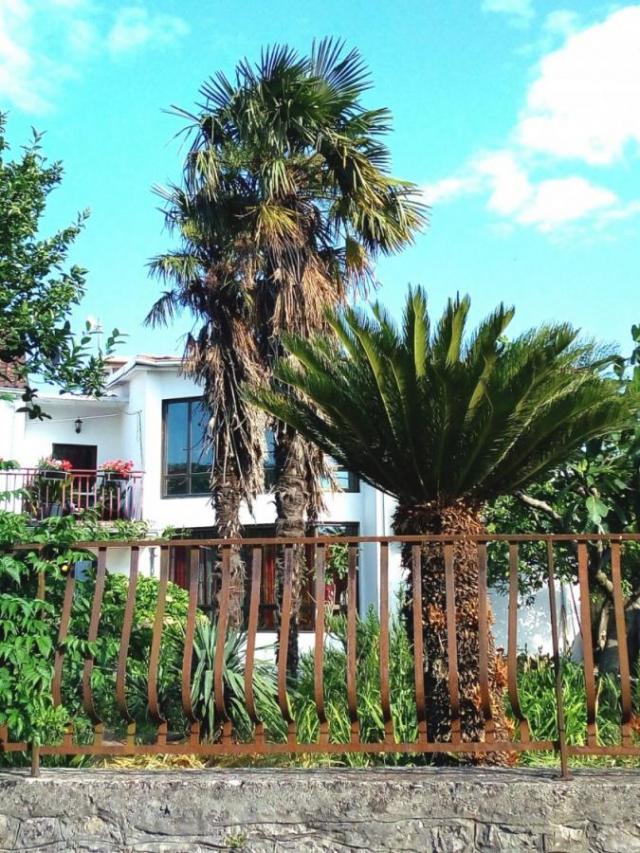House on the coast of Moraca, Podgorica