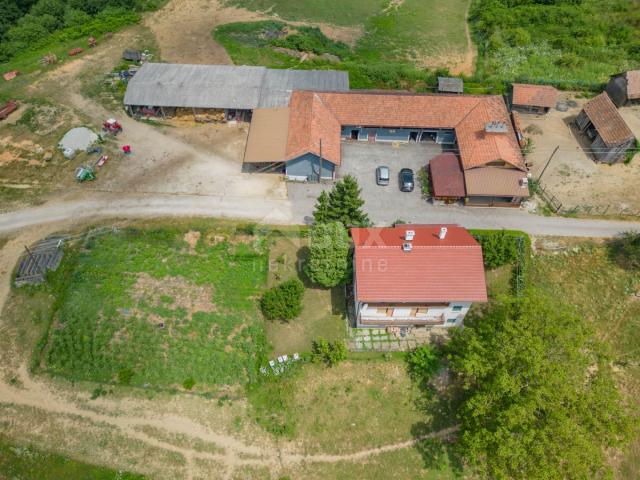 VRGINMOST, BLATUŠA - Veliko imanje s uhodanim poslom! 40 hektara zemljišta!