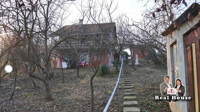 Dve kuce u Sremskoj Kamenici na Cardaku-na glavnom putu