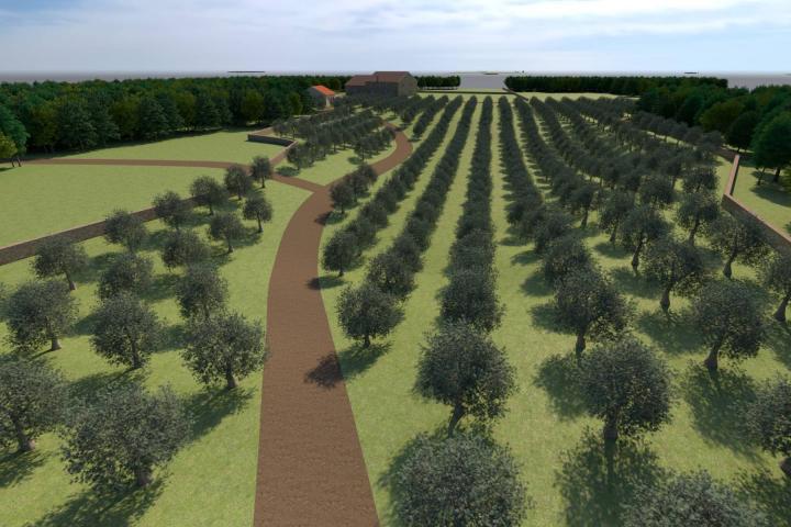 Istra, Bale, poljoprivredno zemljište 12200m2 s mogućnošću gradnje gospodarskog objekta