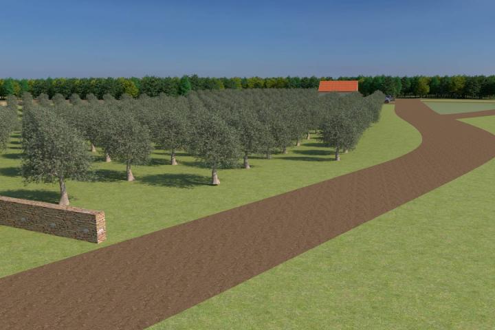 Istra, Bale, poljoprivredno zemljište 12200m2 s mogućnošću gradnje gospodarskog objekta