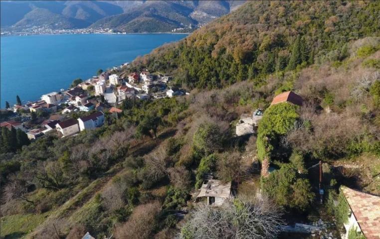 Project for 4 villas with building permits, Tivat