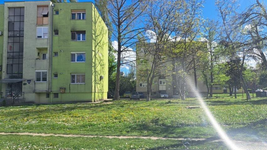 2-soban, 50m2, renoviran kompletno,  Hajduk Veljkova- kod Sajma, NO PETS