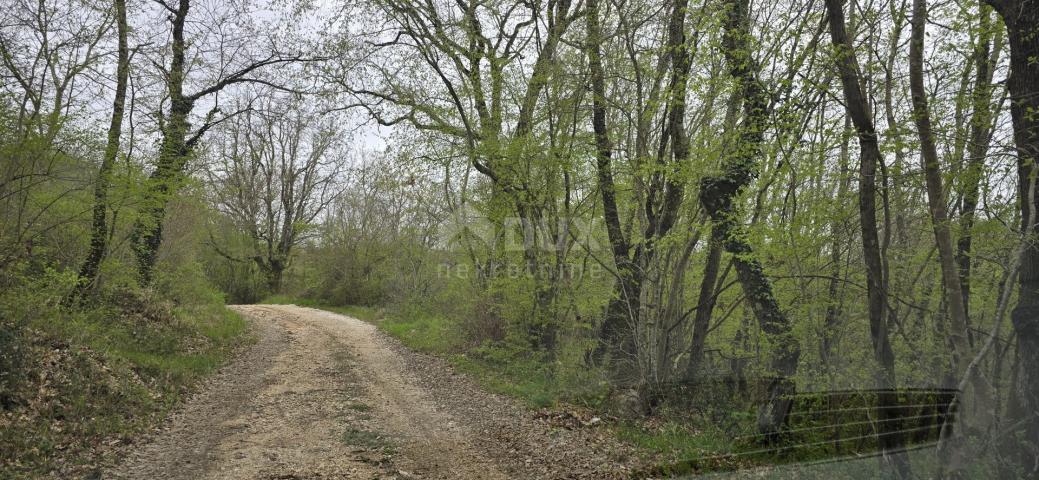 ISTRIA, KANFANAR - Spacious agricultural land of 17.5 hectares