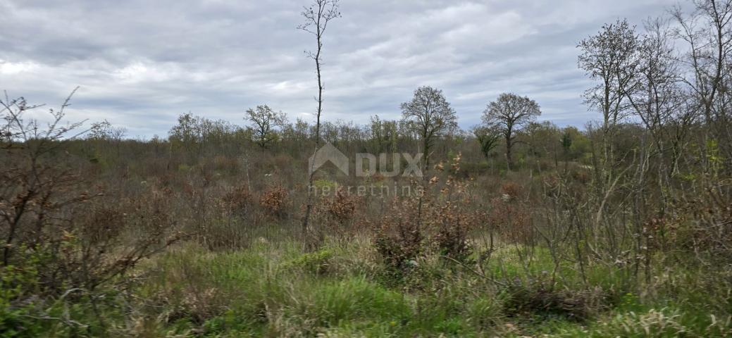 ISTRIA, KANFANAR - Spacious agricultural land of 17.5 hectares