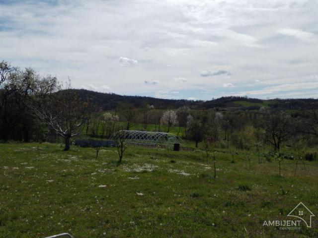 Bajkovito imanje od 1 ha u okolini Lazarevca sa novijom kućom 290m2, voćnjakom i baštom
