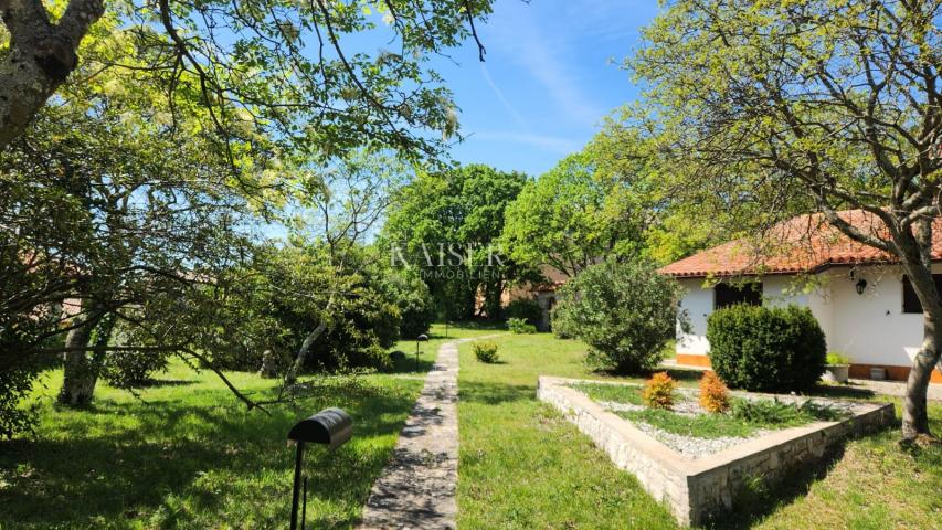 Istria, Šumber - House with 2100 m2 garden