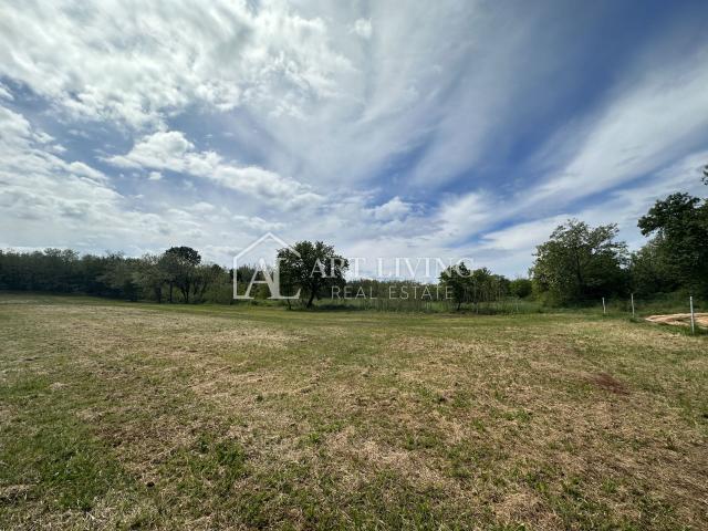 Istria, Umag - surroundings - beautiful agricultural land in an excellent location