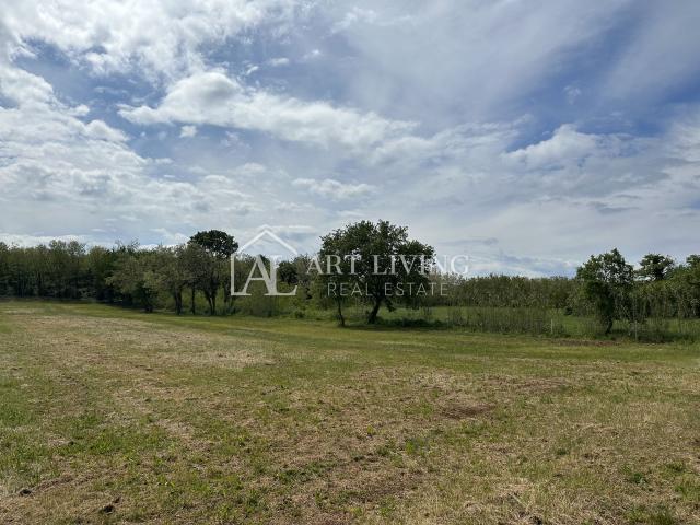 Istria, Umag - surroundings - landscaped agricultural land in a quiet and beautiful location