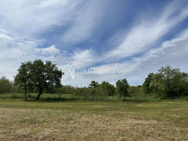 Istria, Umag - surroundings - landscaped agricultural land in a quiet and beautiful location