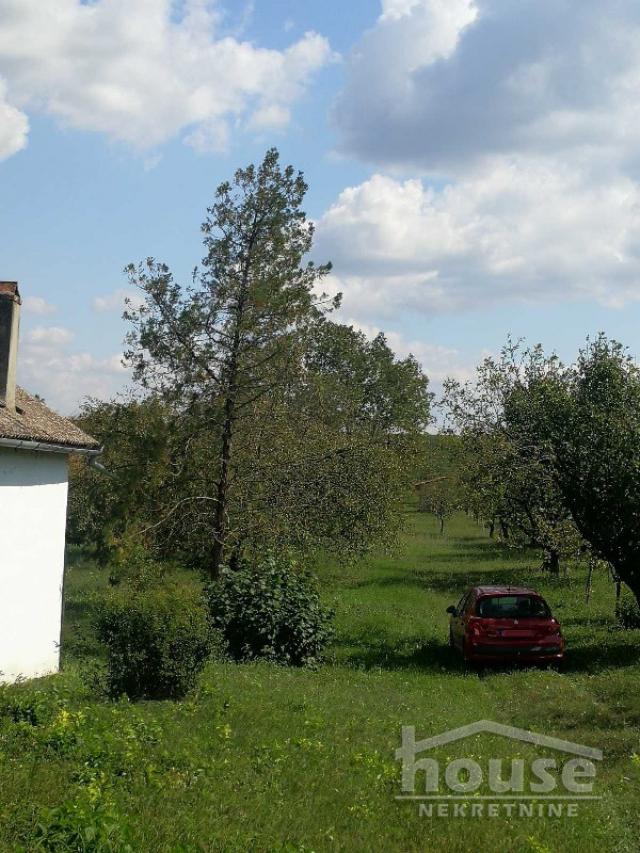 ČURUG - ČURUG - 60.00 m2