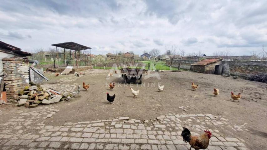 Stanišić, Starogradska kuća 306 m2