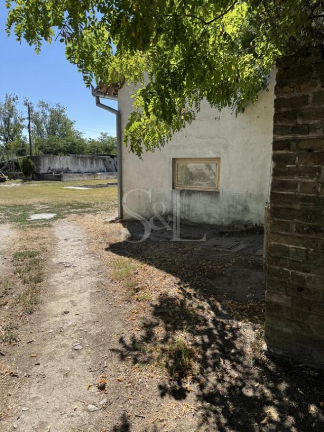 KREČANA, VINOGRAD, VOĆNJAK I BAGRENJAK!