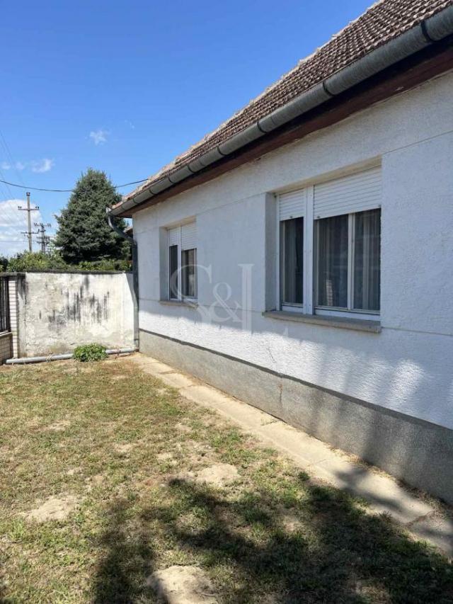 KUĆA! BAĆKI BREG!