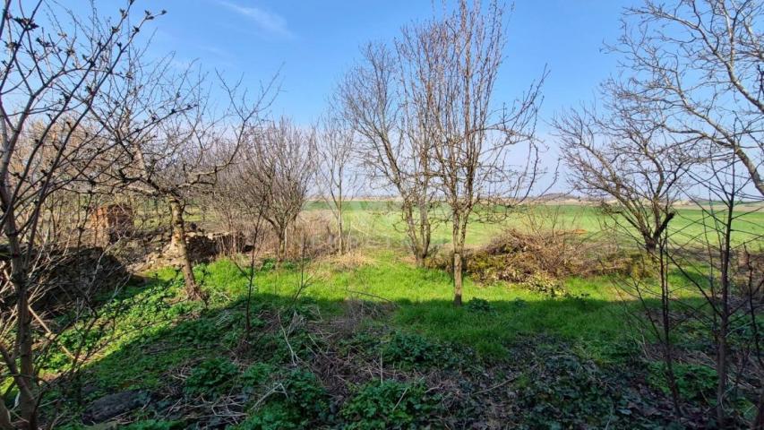 Čonoplja – Spratna kuća 172m² na velikom placu 1617m²