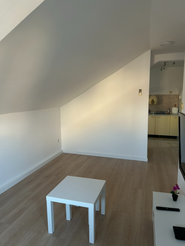 Renoviran stan 45m2, Bele Vode, mali troškovi