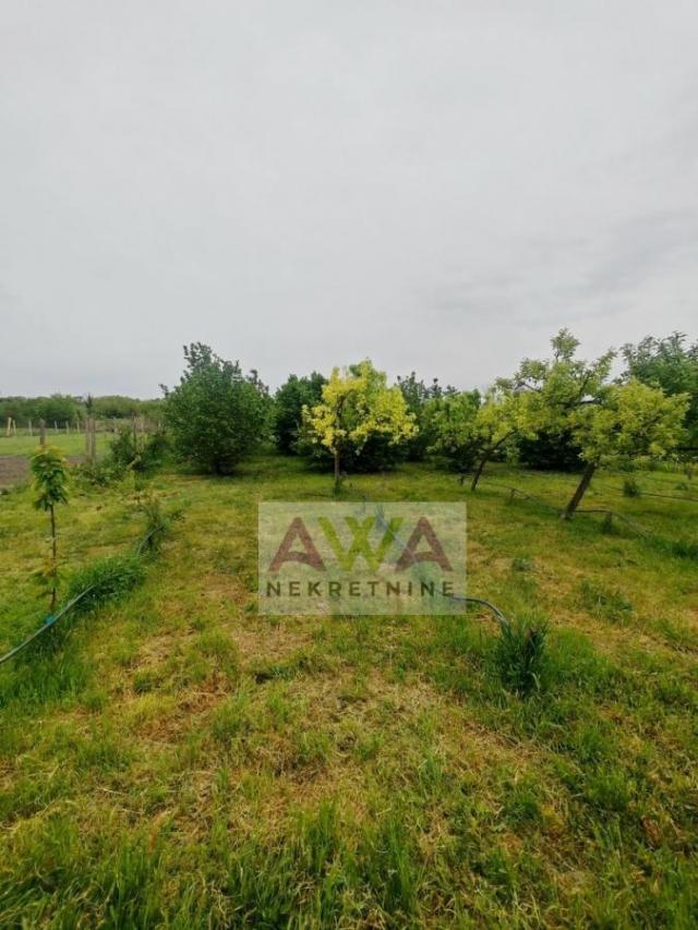 Bezdan – renovirana nameštena kuća 163m² sa voćnjakom i placem 2057m²