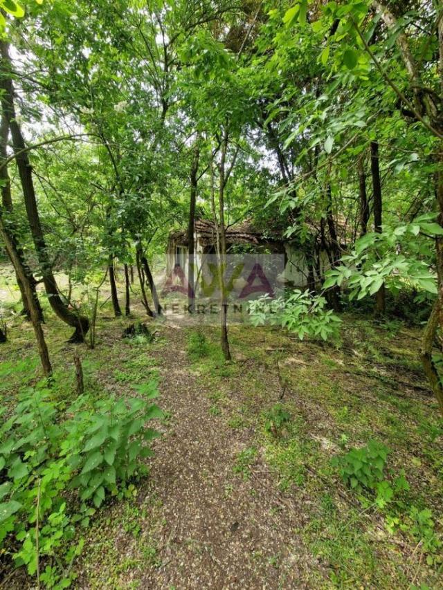 Kuća u šumi – 95m² na placu od 7.111m² | Idealno za vikendicu, beg u prirodu ili novi početak
