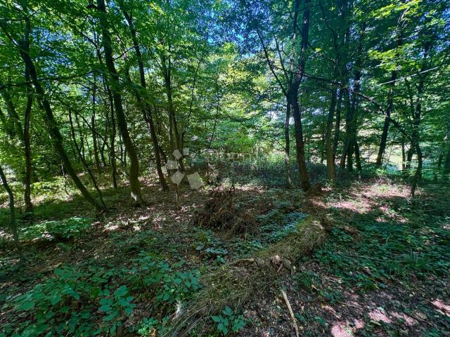 Mirna oaza uz šumu – zemljište s velikim potencijalom