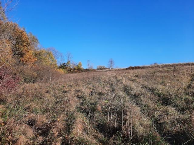 NJIVA 1,9 ha, TOPOLA; ŠATORNJA