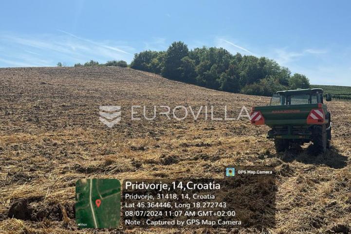 Drenje, Pridvorje, poljoprivredno zemljište s dijelom šumom