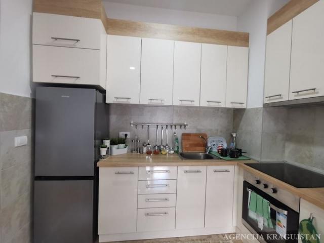 Izdavanje, Stan, 45m2 , Centar
