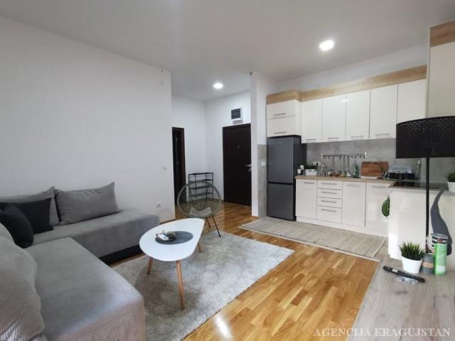 Izdavanje, Stan, 45m2 , Centar