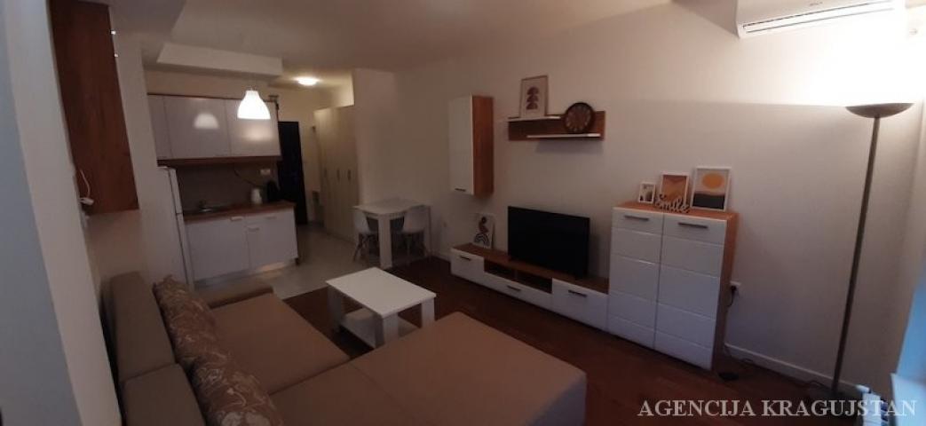 Izdavanje, Stan, 27m2 , Bubanj