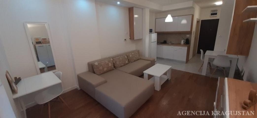 Izdavanje, Stan, 27m2 , Bubanj