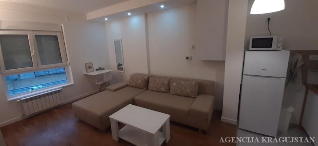 Izdavanje, Stan, 27m2 , Bubanj