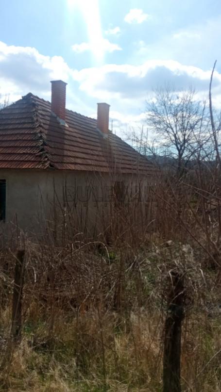 Kuća u Batočini, selo Batočina, 25 m2, plac 1348 m2