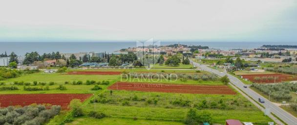 Novigrad, spacious land for investment