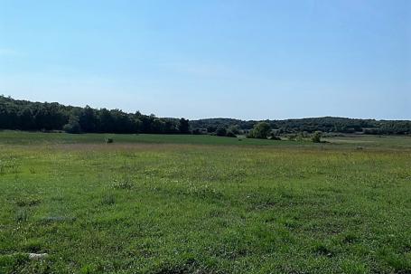 Istra, Poreč okolica poljoprivredno gospodarsko zemljište 2401 m2, Mugeba