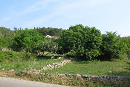 Korčula, Vela Luka, građevinsko zemljište 200 m od mora