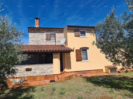 House Galižana! Stone villa with two additional houses!