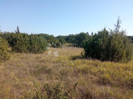 Veliko poljoprivredno zemljište u okolici Pazina