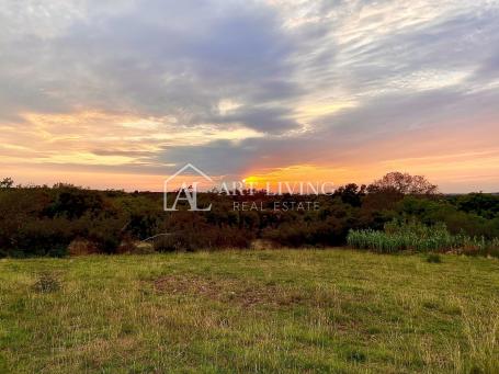 Umag-surroundings, agricultural land 1100m2 in an attractive location