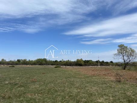 Umag-surroundings, valuable agricultural land 21,000 m2