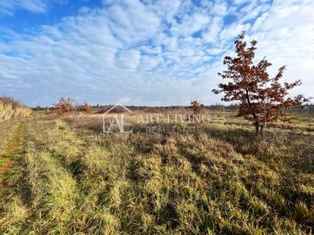 Umag-surroundings, Building land in an attractive location, 1,566 m2
