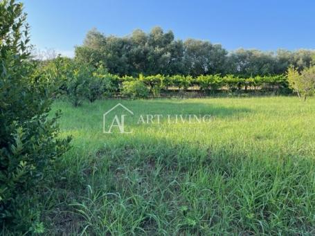 Umag - surroundings, attractive building plot 400 meters from the sea.