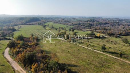 Buje, surroundings - attractive agricultural land in a beautiful location
