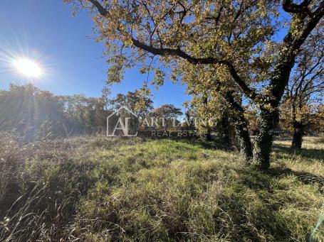 Istria, Umag, surroundings - attractive agricultural land in an excellent location