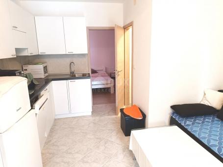 ISTRIA, LIŽNJAN 1 bedroom + bathroom apartment on the ground floor with garden and parking 36 m2