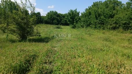 Istria - Barban - building plot with project, 1040 m2