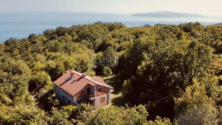 Veprinac – Family house with a large land in the arms of nature