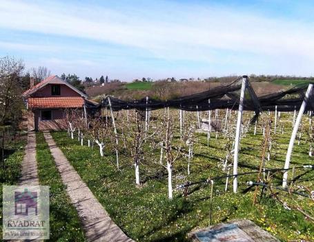 Kuća 93 m² sa plantažom krušaka, 10 ari, Obrenovac, Mislođin – 65 000 €